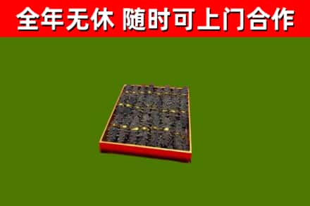 含山回收海参
